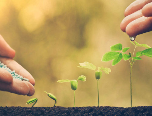 Why caring about your employees will improve your bottom line?